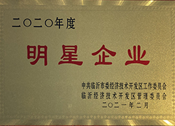 致远开元(中国)荣获2020年度经开区“明星企业”