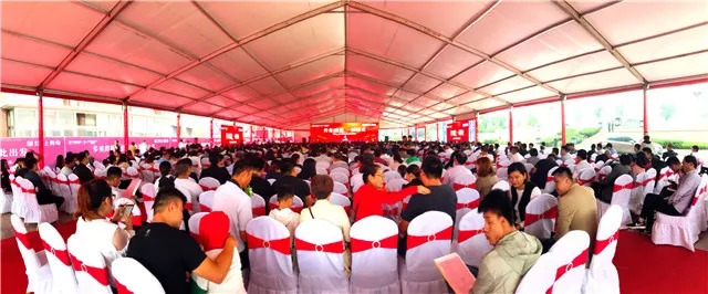 1537404378809599.jpg 2.jpg